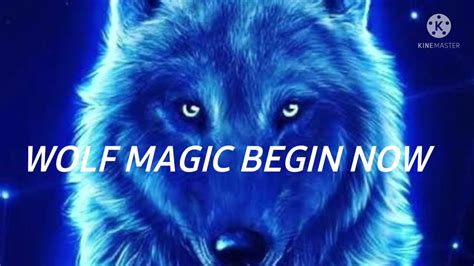 Let the magic of wolves commence